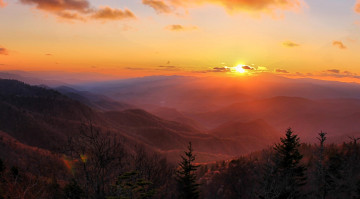 обоя природа, горы, лес, деревья, солнце, облака, закат