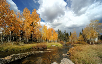 обоя природа, реки, озера, лес, деревья, осень, река, камни, облака