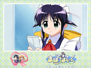 Картинка аниме mahoromatic