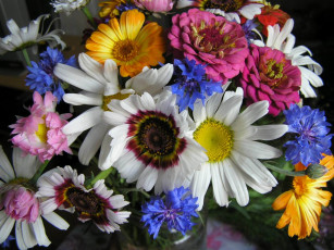 Картинка цветы разные вместе