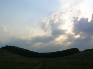 Картинка природа