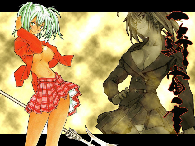 Обои картинки фото аниме, ikki, tousen