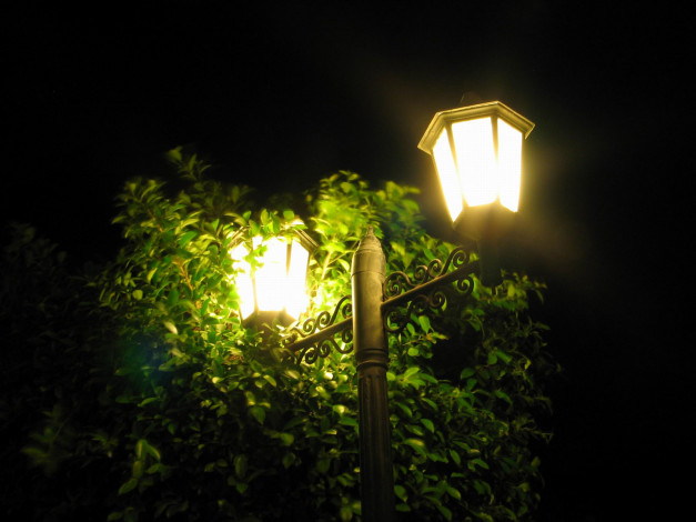 Обои картинки фото разное