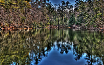 Картинка природа реки озера