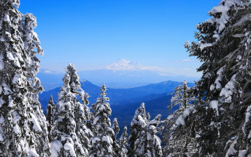 Картинка природа зима