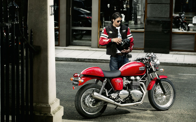Обои картинки фото мотоциклы, triumph