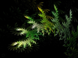 Картинка 3д графика fractal фракталы узор абстракция