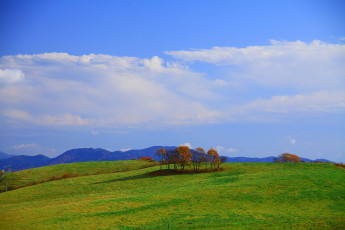 Картинка природа поля облака деревья