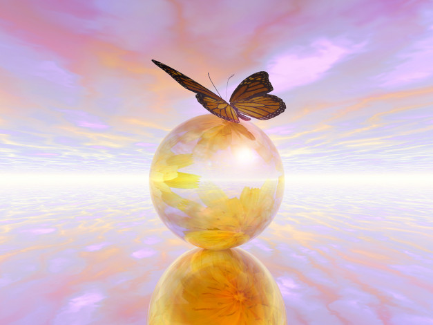 Обои картинки фото 3д, графика, animals, животные, шар, бабочка