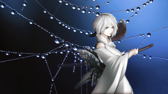 Обои картинки фото аниме, touhou, девушка, паутина, капли