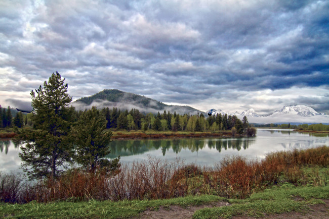 Обои картинки фото природа, реки, озера, горы, пейзаж, река, кусты, деревья