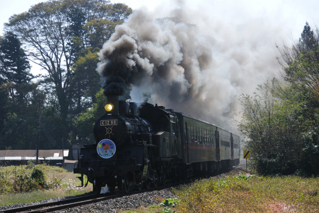 Обои картинки фото техника, паровозы, деревья, вагоны