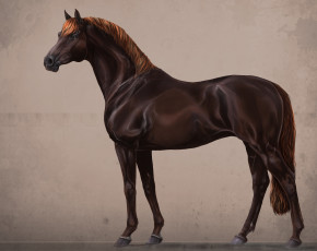 Картинка рисованные животные +лошади лошадь