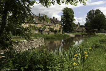 Картинка города -+пейзажи пруд парк особняк кусты деревья