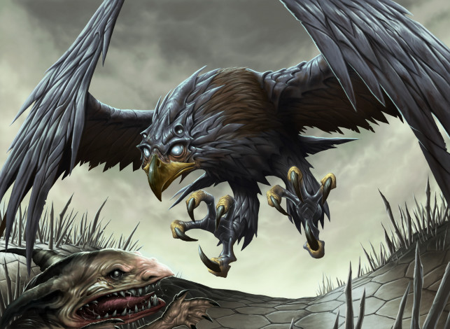 Обои картинки фото фэнтези, существа, ястреб, лапы, крылья, когти, пасть, клюв
