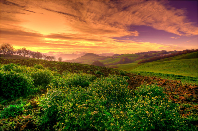 Обои картинки фото природа, поля, закат