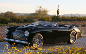 Картинка автомобили austin austin-healy