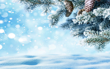 Картинка природа зима снежинки снег елка лес nature snow winter