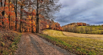 Картинка природа дороги тракт