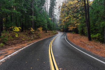 Картинка природа дороги простор