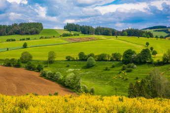 Картинка природа пейзажи простор