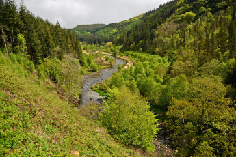 Картинка природа пейзажи простор