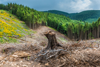 Картинка природа пейзажи простор