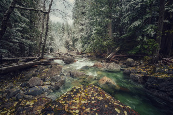 Картинка природа реки озера простор