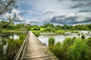 Картинка природа дороги простор