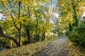 Картинка природа дороги простор