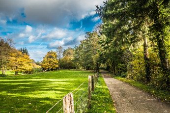 Картинка природа дороги простор