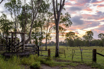 Картинка природа пейзажи простор