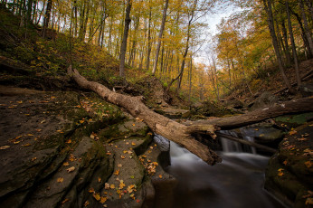 Картинка природа реки озера простор