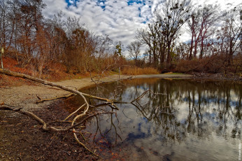 Картинка природа реки озера простор