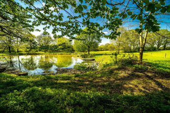 Картинка природа реки озера простор