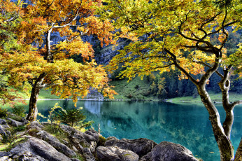 Картинка природа реки озера простор