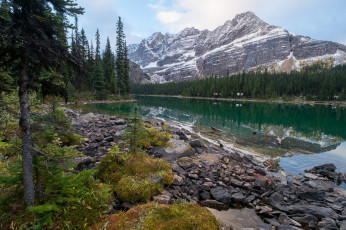 Картинка природа реки озера простор