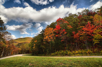 Картинка природа пейзажи простор