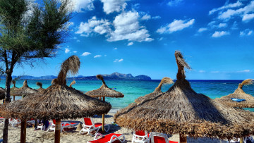 Картинка природа тропики простор