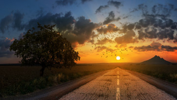 Картинка природа восходы закаты простор