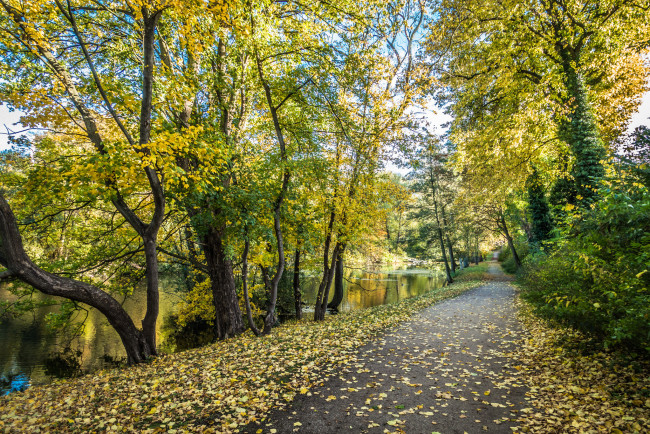 Обои картинки фото природа, дороги, простор