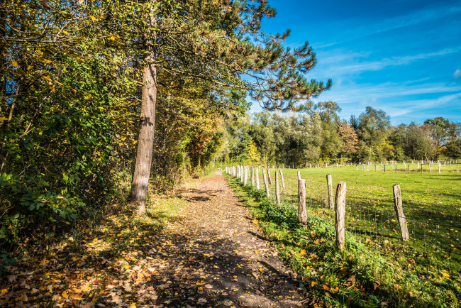 Обои картинки фото природа, дороги, простор