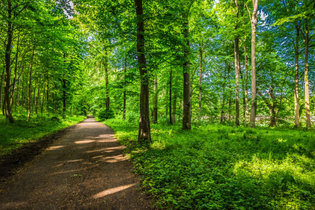 Обои картинки фото природа, дороги, простор