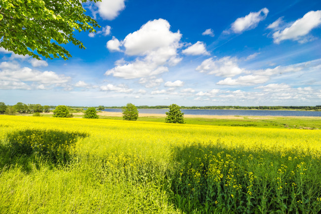 Обои картинки фото природа, поля, простор