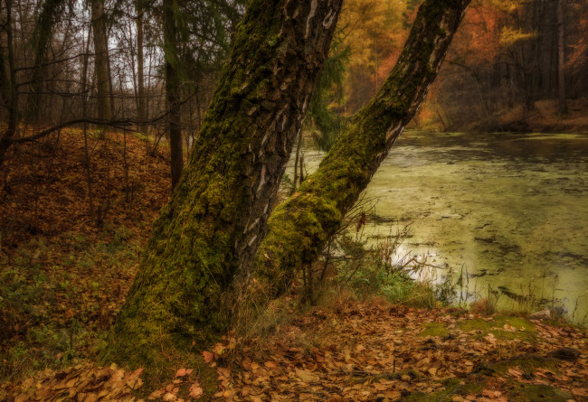 Обои картинки фото природа, реки, озера, простор