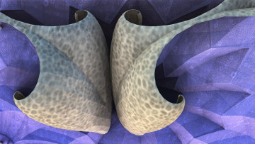 Картинка 3д+графика абстракция+ abstract узор фон цвет