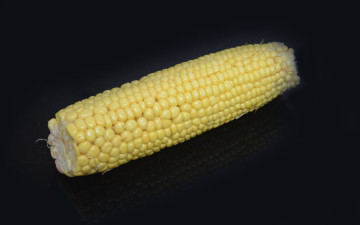 обоя еда, кукуруза, початок, зерна