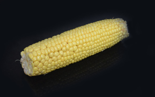 Обои картинки фото еда, кукуруза, початок, зерна