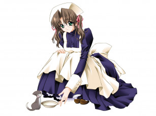 Картинка аниме moonlight lady