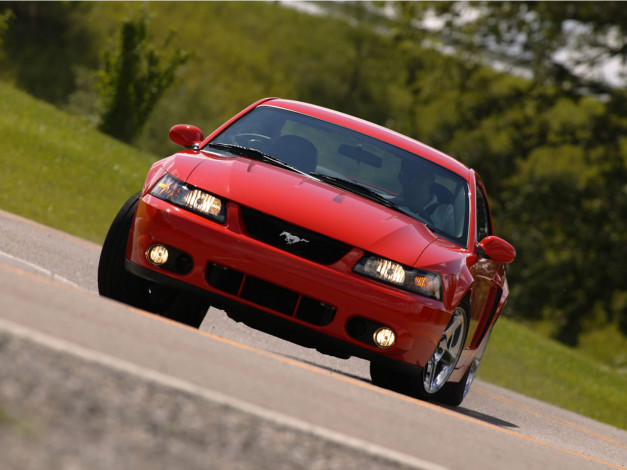 Обои картинки фото автомобили, ford